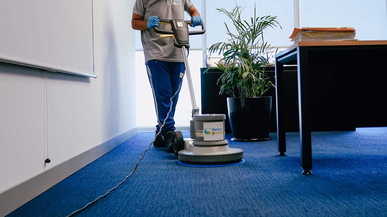 Limpieza profunda de <br> <span>Alfombras</span> de casa o empresa 